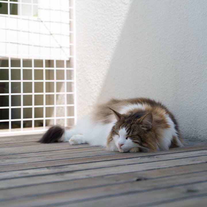 64ab9c11 92e9 478b a236 39ad05d7ffae 1749088184690