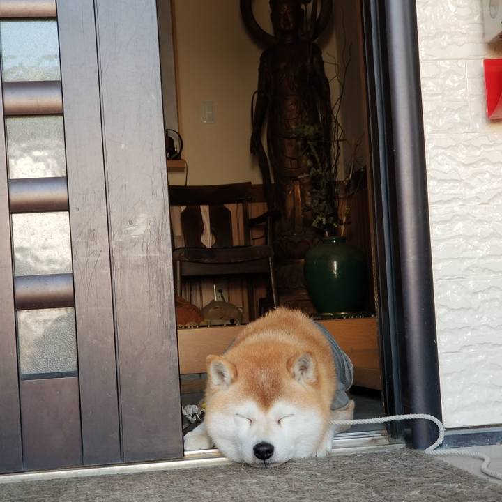 64abb9bc 8bc3 4e34 a95d e339536f7c10 1648943790212