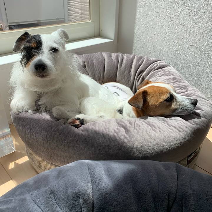 64ac27b5 3438 4bcf acc8 0c0148f75aea 1587700978163