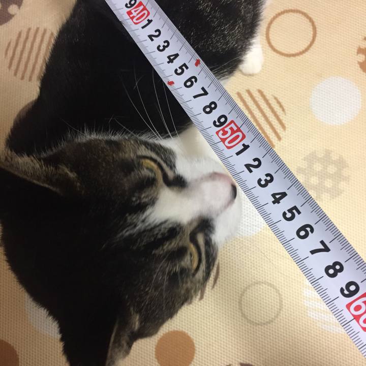 64ac3e9a a606 4a92 a85c d28f67dce7f8 1507734379353