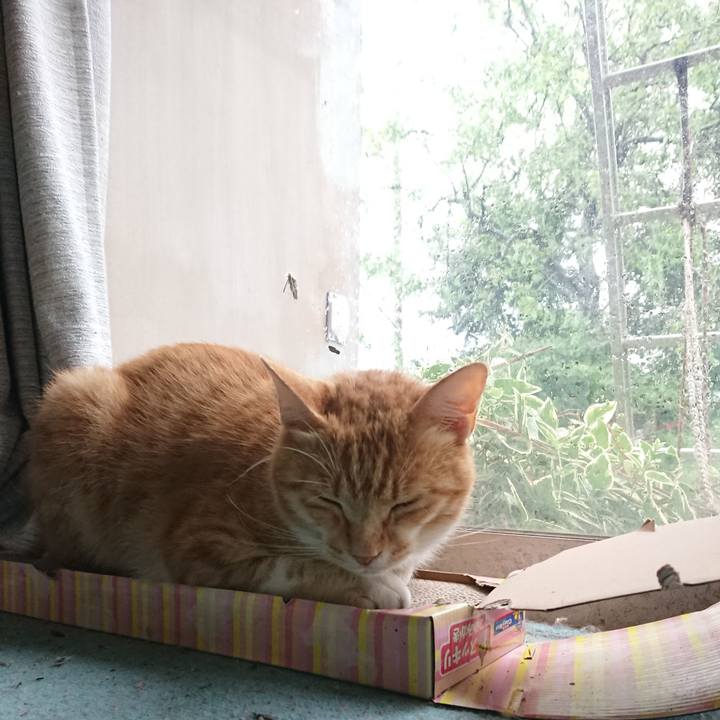 64ac4168 a3f5 4c67 8da5 31d6c029ee8d 1593852216624