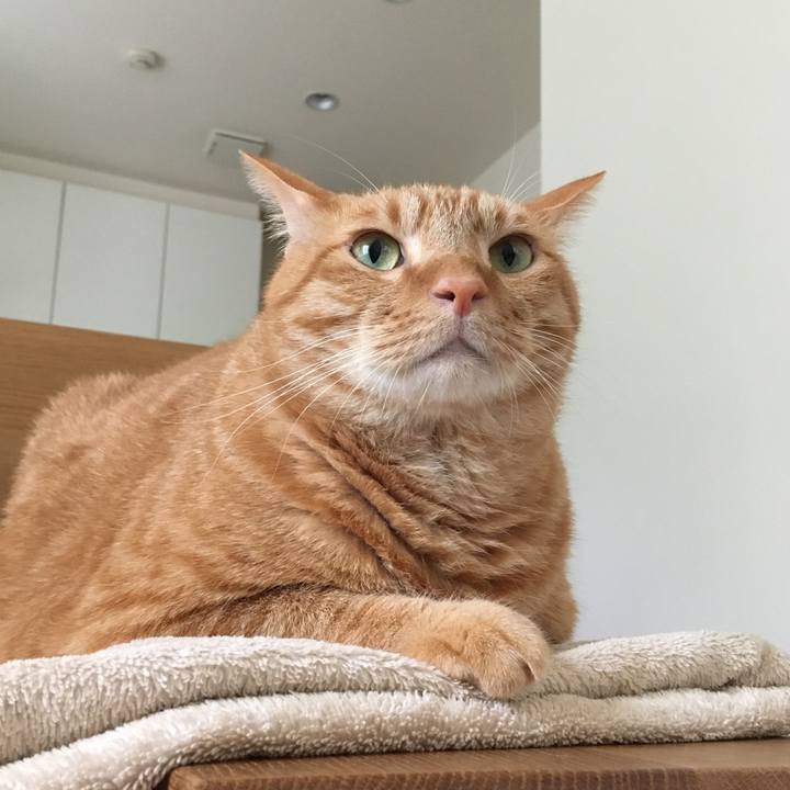 64ac7395 9ca7 4be3 aa49 c0b84022adf4 1569458919283