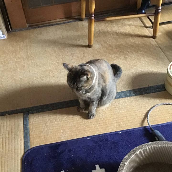 64ac8be8 553a 4fe6 afe8 9bbe4b0b0c66 1717310236879