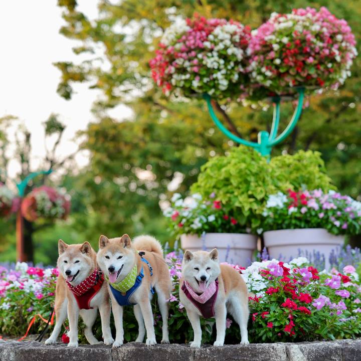 64ac8dd3 e3a2 4053 94a9 78a1d04001a5 1753369549343