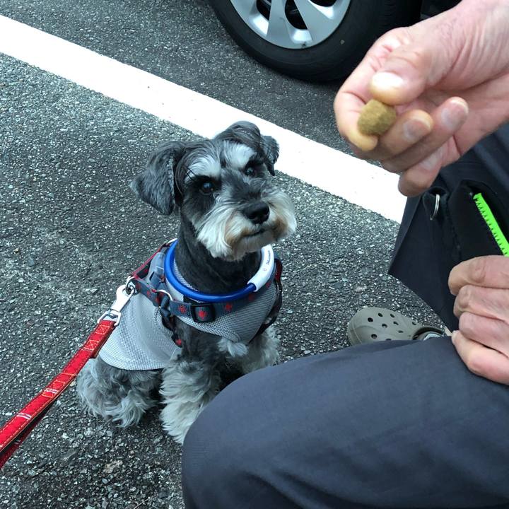 64ac9ced 0185 4663 bb82 7ed05b2a423d 1652353594522