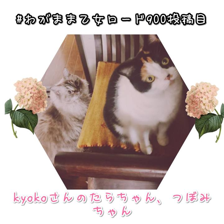 64aca7bf bc2a 4705 8473 706523751642 1571576228596