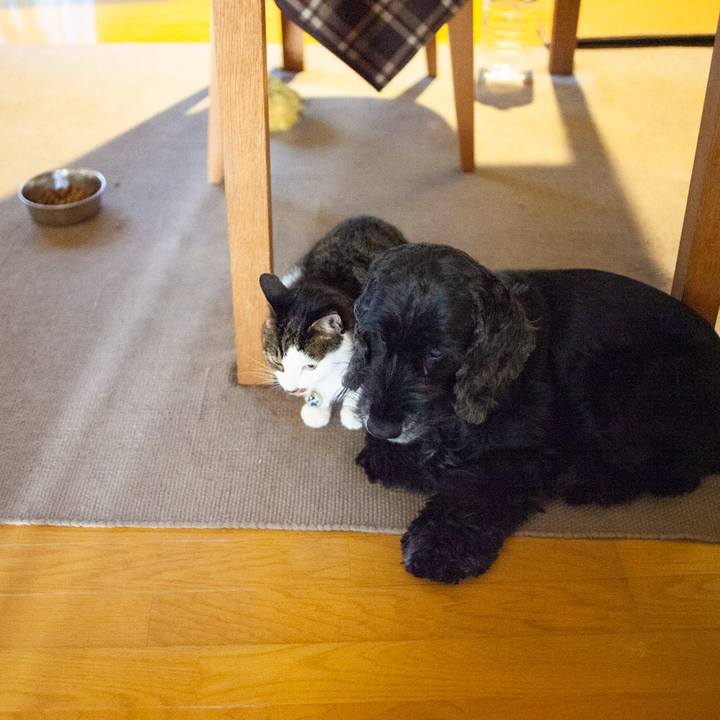 64acc915 a4c3 426b 968a 36448bf881ed 1608611699413