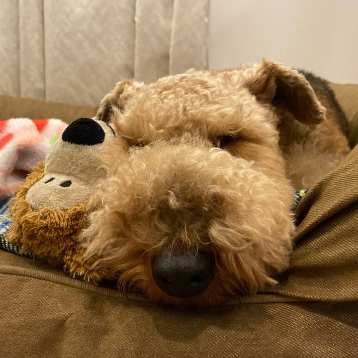 64acc9bb 5c9a 48e8 b243 a5db1d337fd2 1579401300079