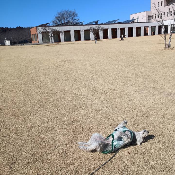 64acd268 f7a6 4f8a 98d1 4e30c782ec68 1771676625757