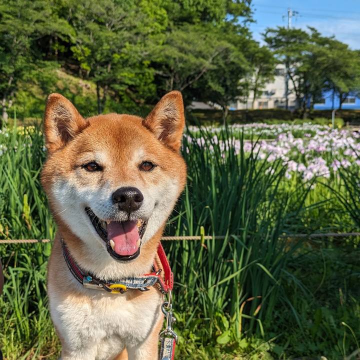 64ace228 cc58 45a8 88fa 47ff7216e608 1717287405981