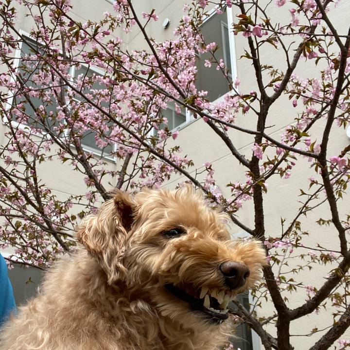 64ace3fd cc1e 4c3f b55b d312ed7adbf8 1650600277159