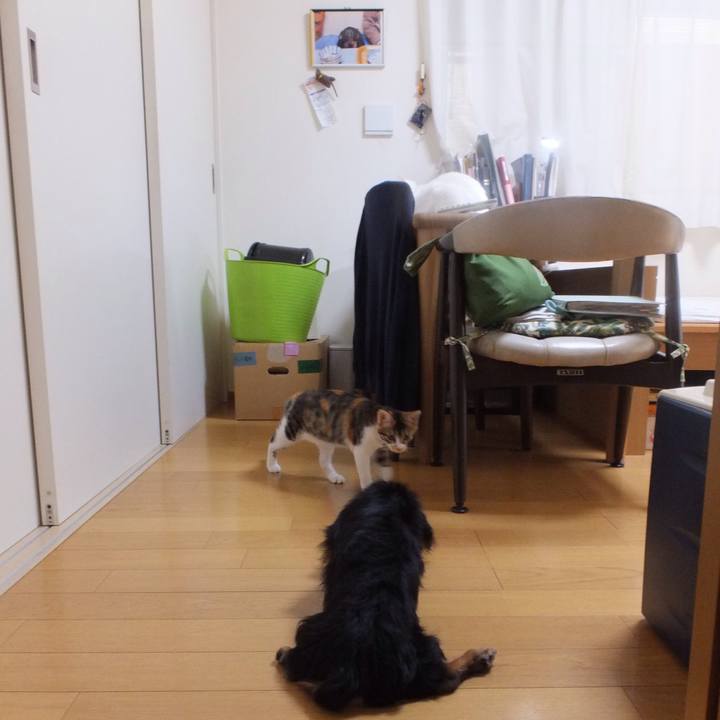 64aceb0c 9041 4346 a254 4811adef5c17 1631424993536