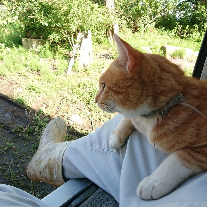 64ad292b d576 4faf b221 76870b0c1d4e 1594539520470