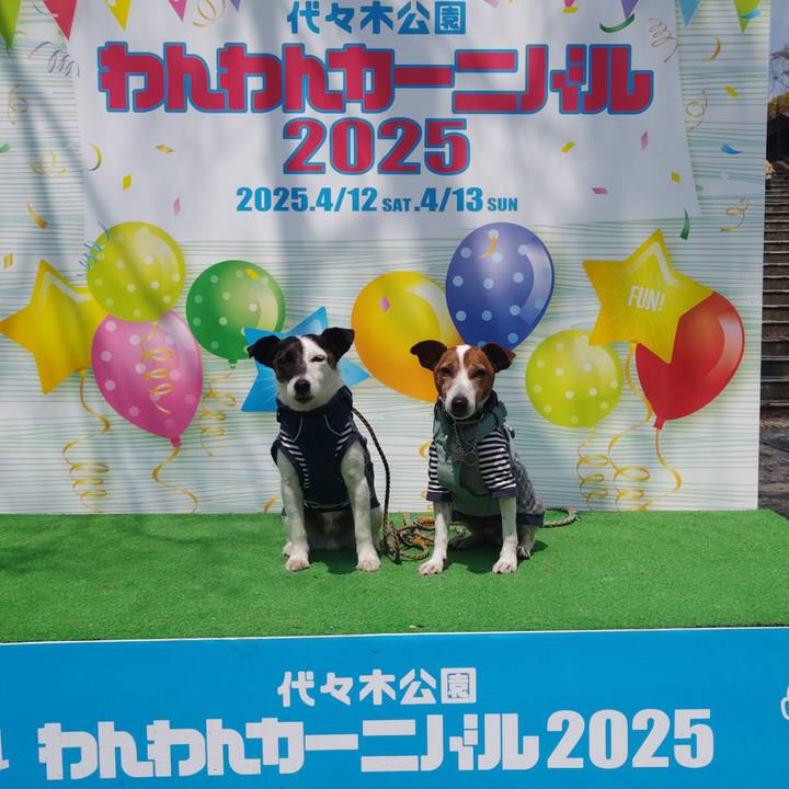 64ad3547 12eb 4d1b 8448 0fad85e76e77 1744435915346