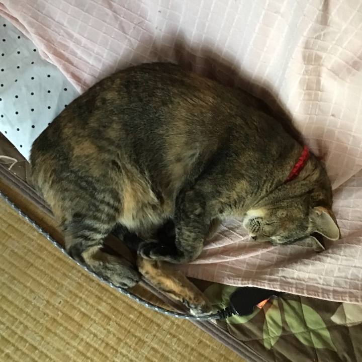 64ad6fac 8e7f 4597 8131 98e7274906a7 1673260496778