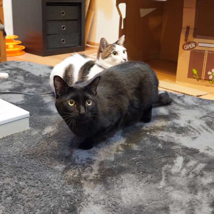 64ad771f 0278 4569 9754 d0dd2e9d9006 1613269605718