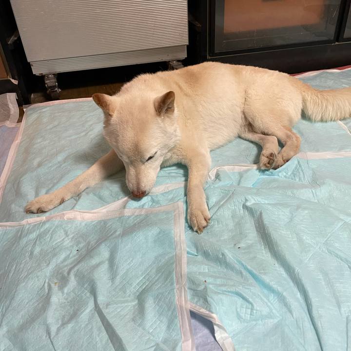 64ad779f a387 4047 9e74 f5fe593805ca 1639311122377