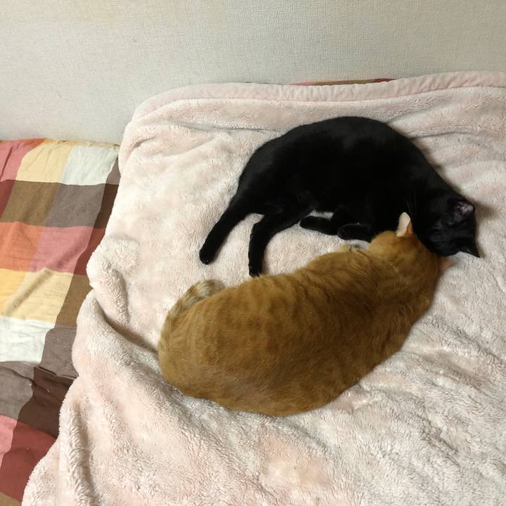 64ad7aab 10a2 4253 b643 a2f1a47eee66 1708439438975