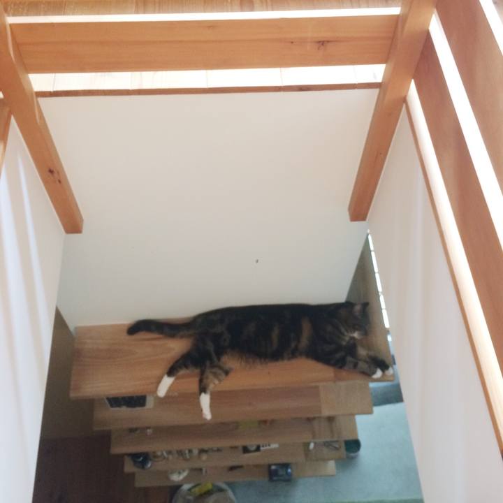 64ad8d0e ae05 4ff6 b007 b4b01294cf74 1564788429881