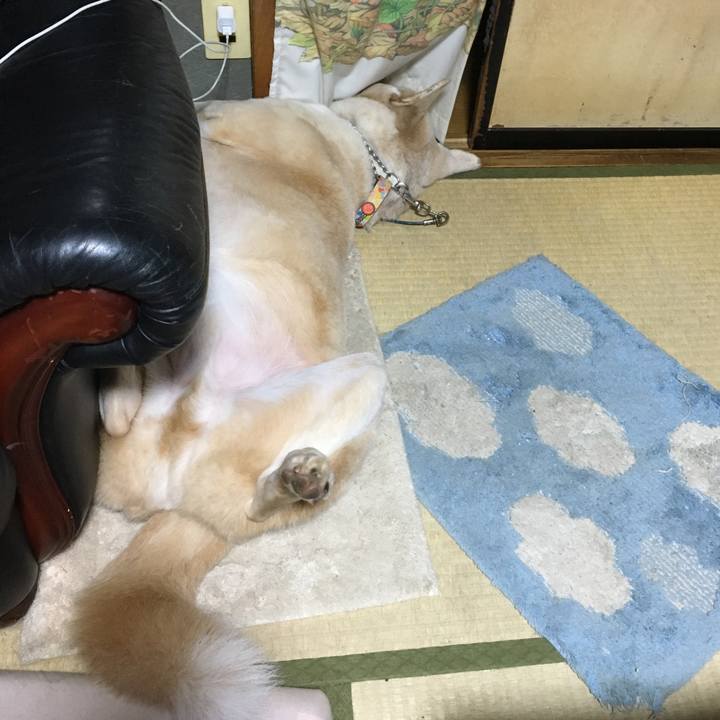 64ada040 c8c0 49a6 9663 4225493e70a1 1507994812680