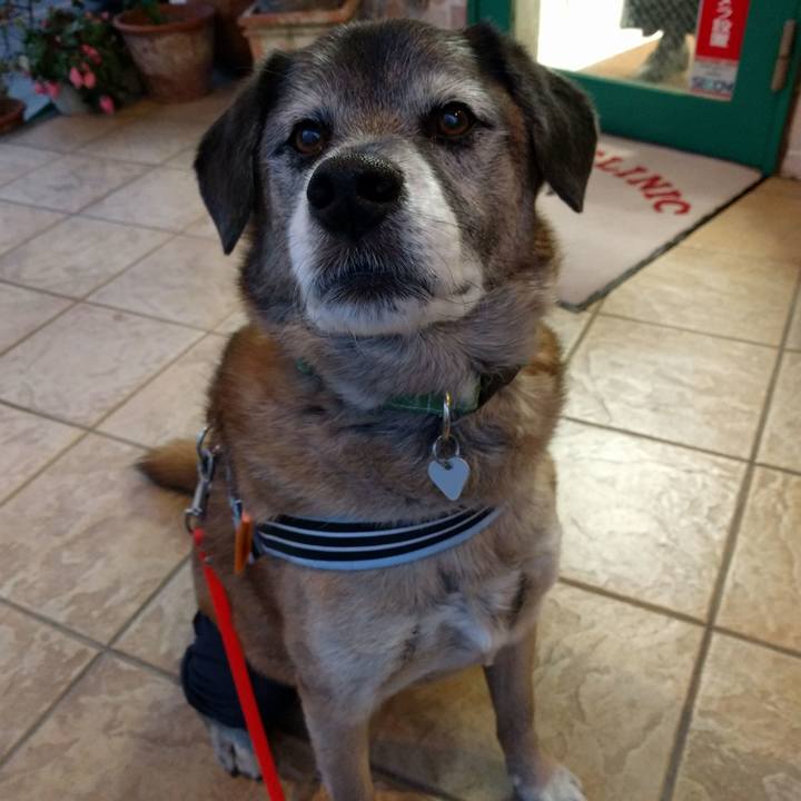 64ada1fd 4bb0 40f2 bcf7 f10bd0c5535d 1517389795605