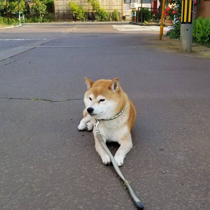 64adb0e8 6ed0 4aec aecc 458af8b65103 1528015898803