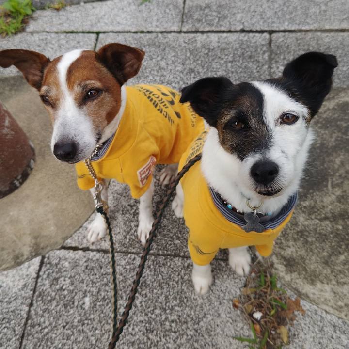 64adbc37 ac0a 468b 84ab b4aa3d7f301a 1748296348296