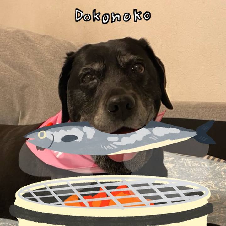 64adcfb7 f9a5 4581 aa07 8d91bd502ac5 1761147931127