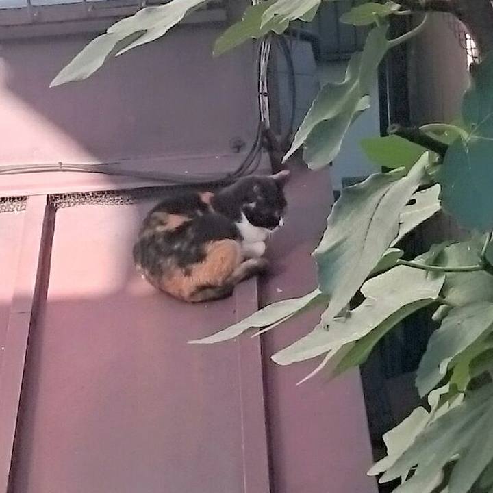 64addb20 158c 48ab b615 622a7e16376e 1509686504435