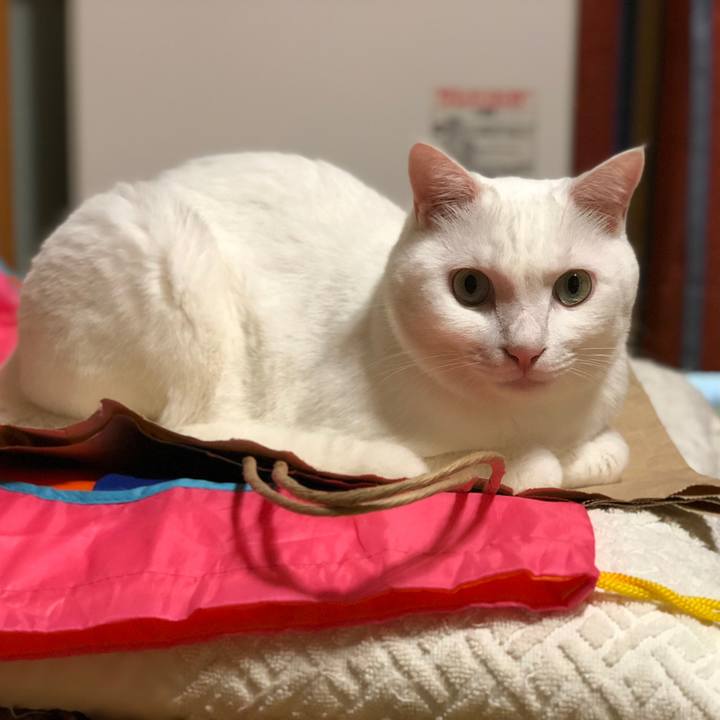 64adee39 b052 45c2 84c9 877aa2187141 1536476971684