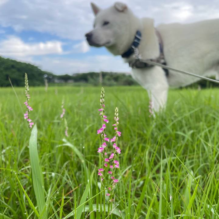 64ae1445 7090 45fe 8724 19c580344af6 1750113250537