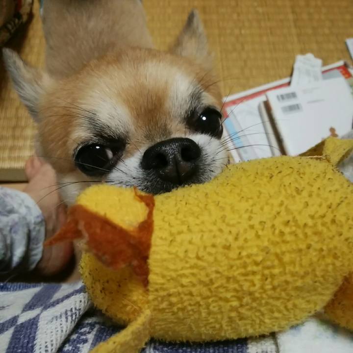 64ae3238 9c7c 4f46 a6fe 6c54b9578620 1571742528998