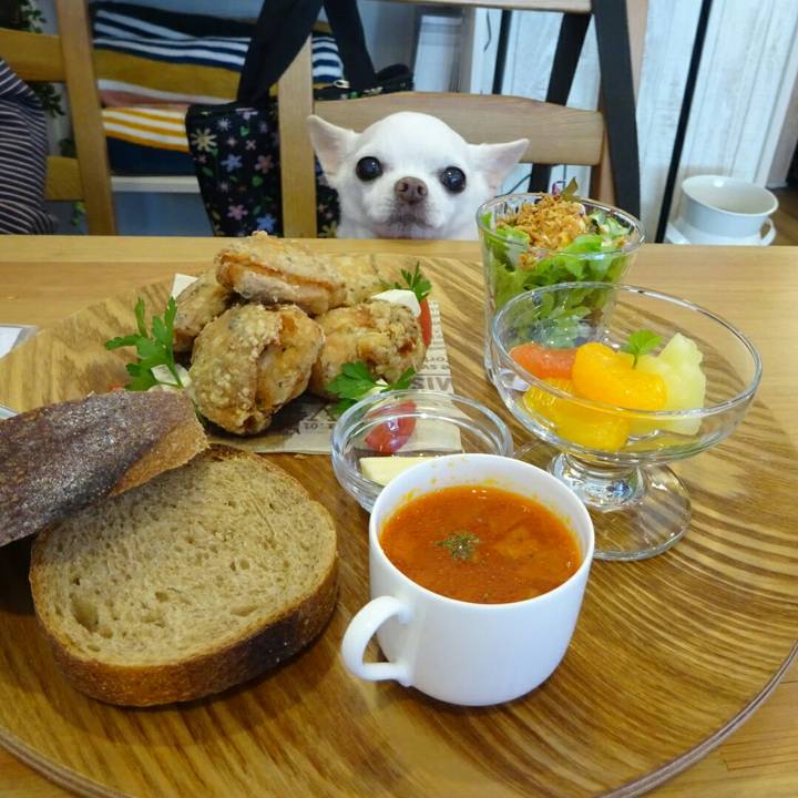 64ae352e 0401 497c a70d 4f4a47c53b98 1510383711829