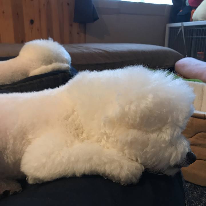 64ae52e4 daa1 4664 9992 da6bfbe6a248 1551824079608