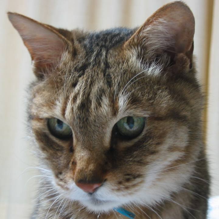 64aeced4 2bae 48a8 86e2 b1dd5eb753d9 1525398423199