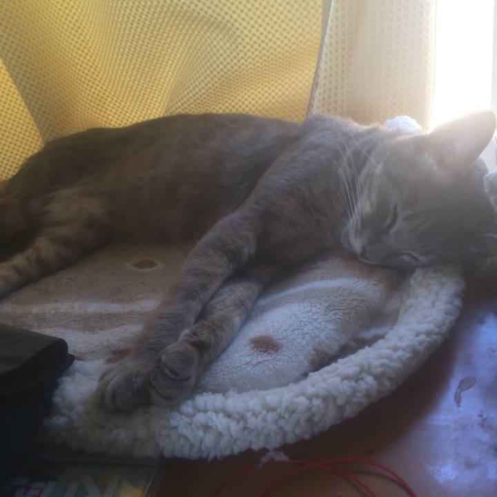 64aeda44 cfff 4854 ad86 9754a4664efc 1564743751322