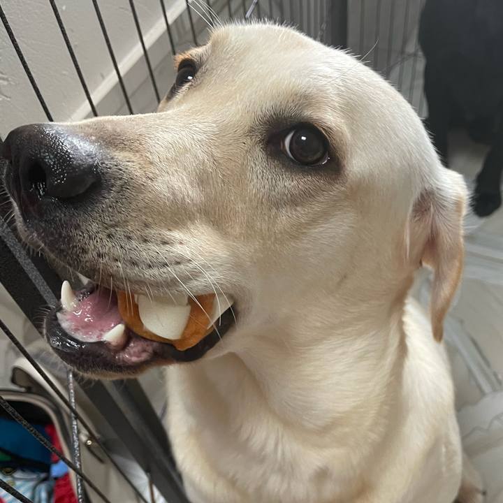 64aef7f6 345e 4168 a083 023bbc6a2a73 1638454216188