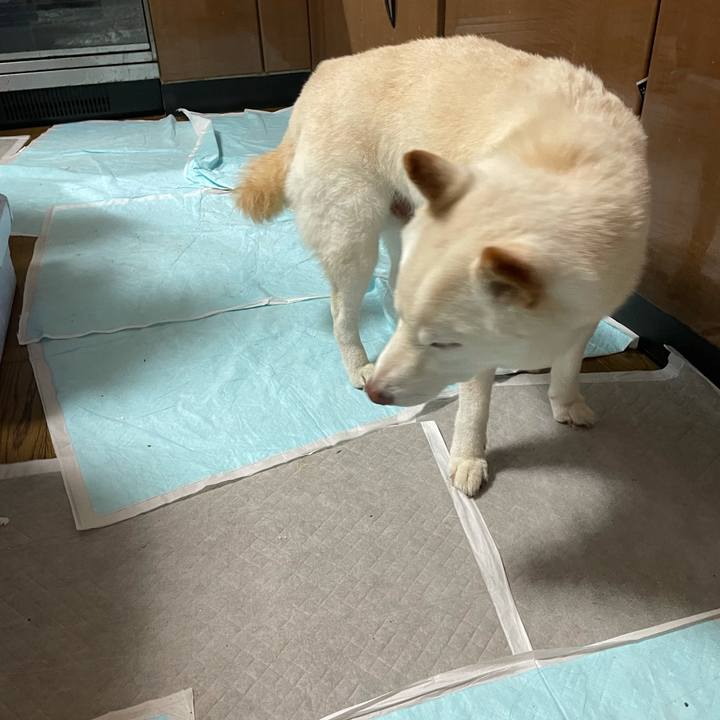 64af218f b13c 4f85 9d03 c3ec8df442d1 1634295450968