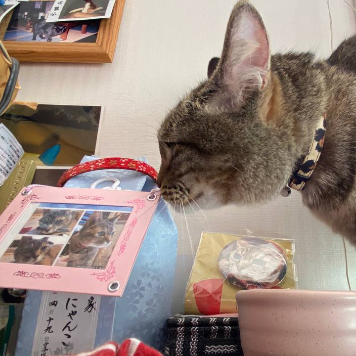 64af7be7 4c5f 44d5 b427 e49039965170 1636275564371