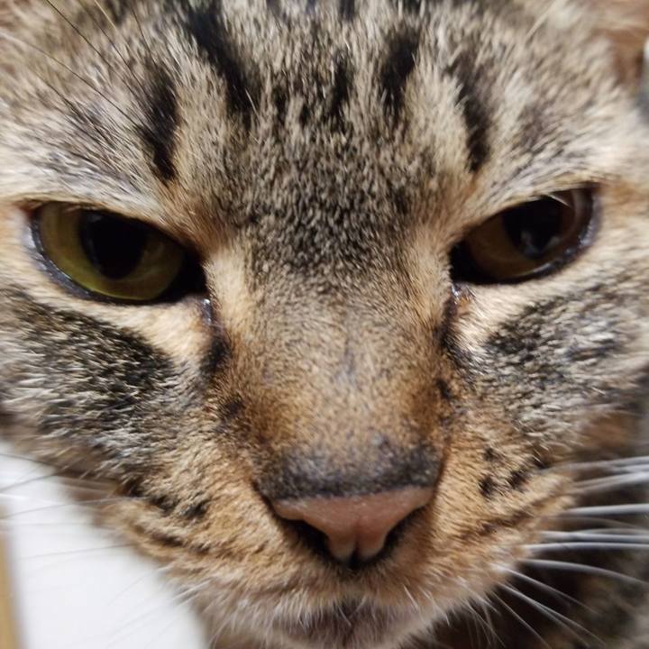 64aff724 e3f4 46c7 a35a bf5c7fd679ce 1569024657906