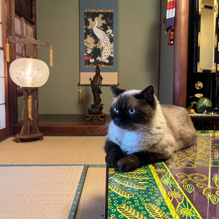 64b00b6b 67d5 4431 9eef f30c05d04797 1660381950407