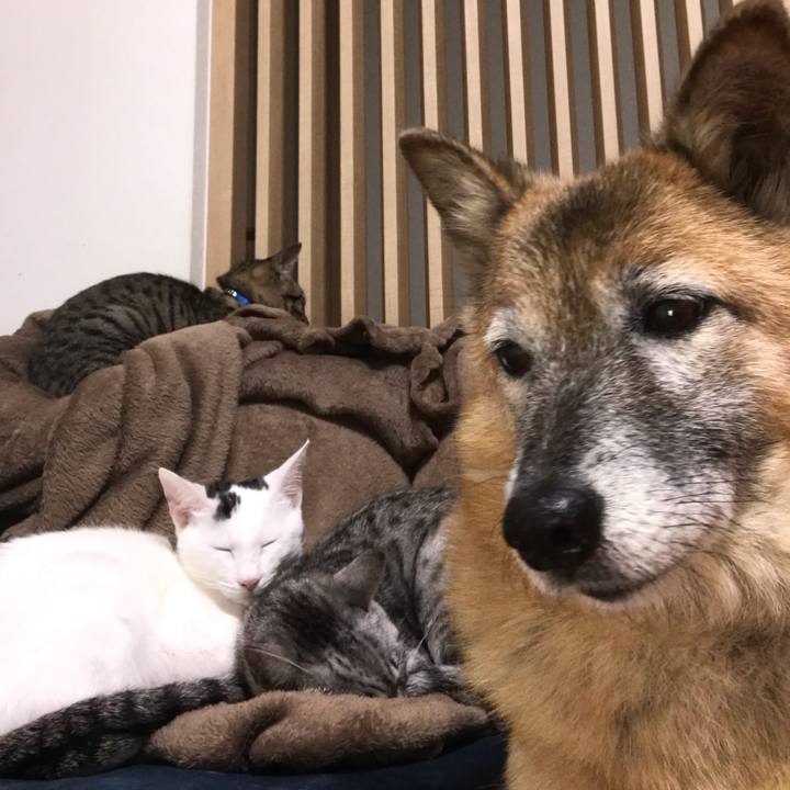 64b033f1 dc2d 4623 84ed b80bd2e81a50 1573287678050