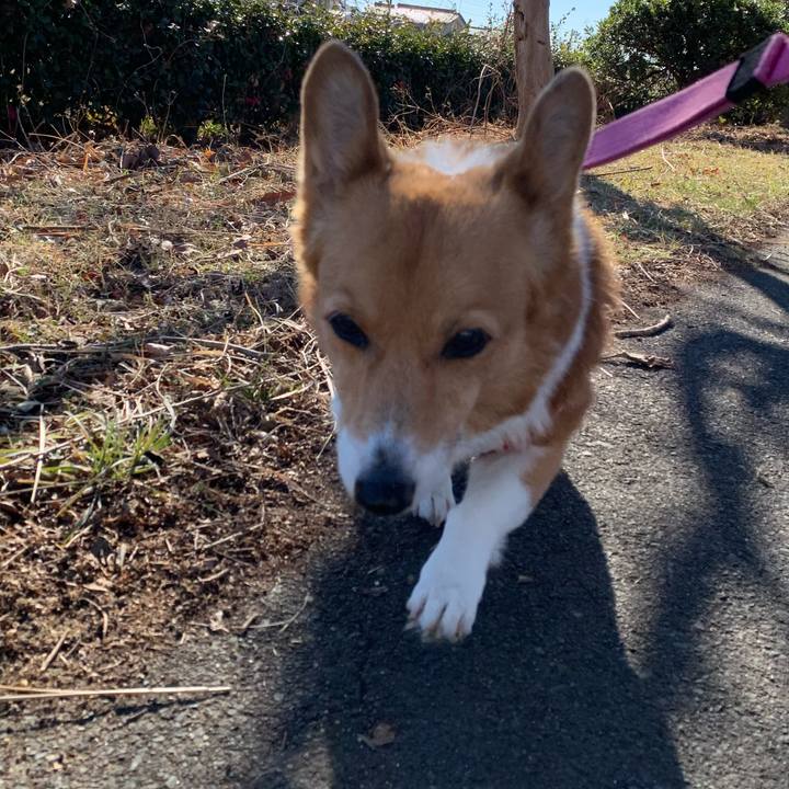 64b03b95 a3d4 46ca 8e64 7bb092282841 1705025530448