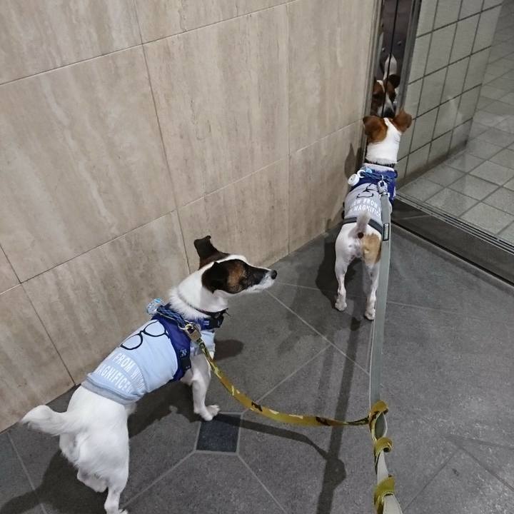 64b0a201 7cb2 4c66 af8b de34f6642b45 1536788839349