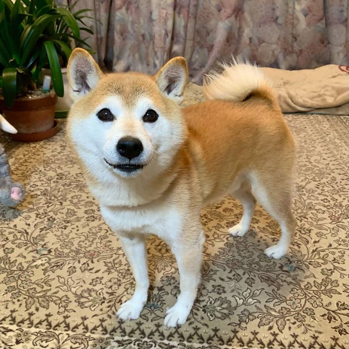 64b0a2ed cfa1 4558 a0bb 1b1f35472511 1668251801487