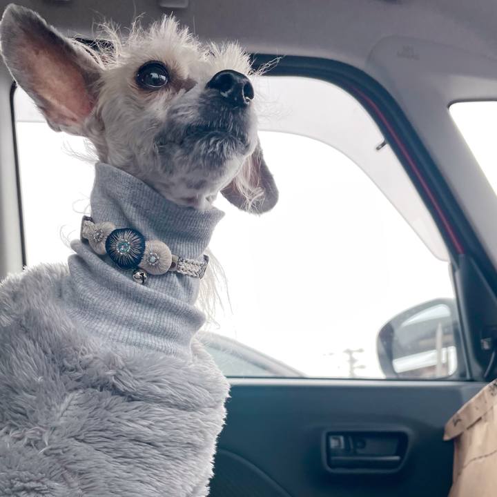 64b0a783 63fe 41fb b588 313333064b79 1770718380512