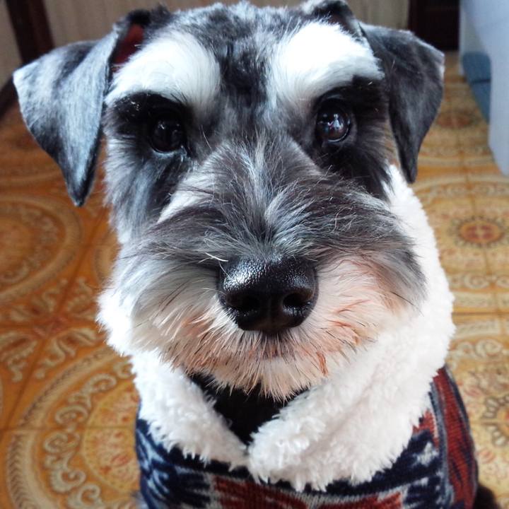 64b0b387 df7c 4c03 b68d ffd585391e96 1523543991466