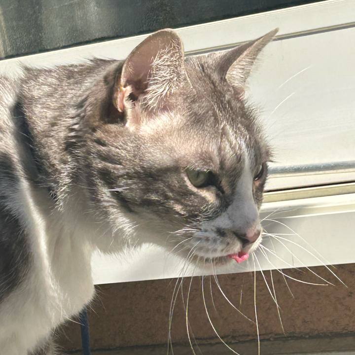 64b0bea6 7a2b 4438 ab92 27ed285d4b04 1771032987916