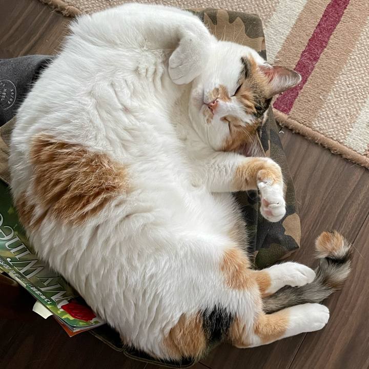 64b0d9f5 71d7 44f0 bec5 9599f7780fcc 1653901693742