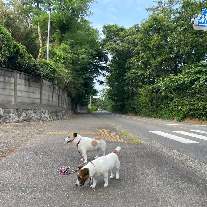 64b0ef16 eb6a 4a15 bcec 059bd8eb2121 1751413878796